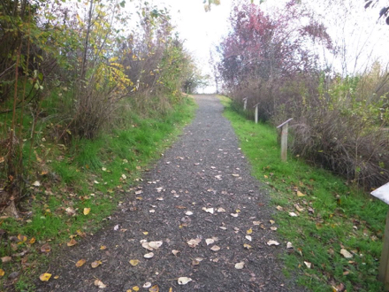 Start of trail from Education Center – steep grade with compacted gravel